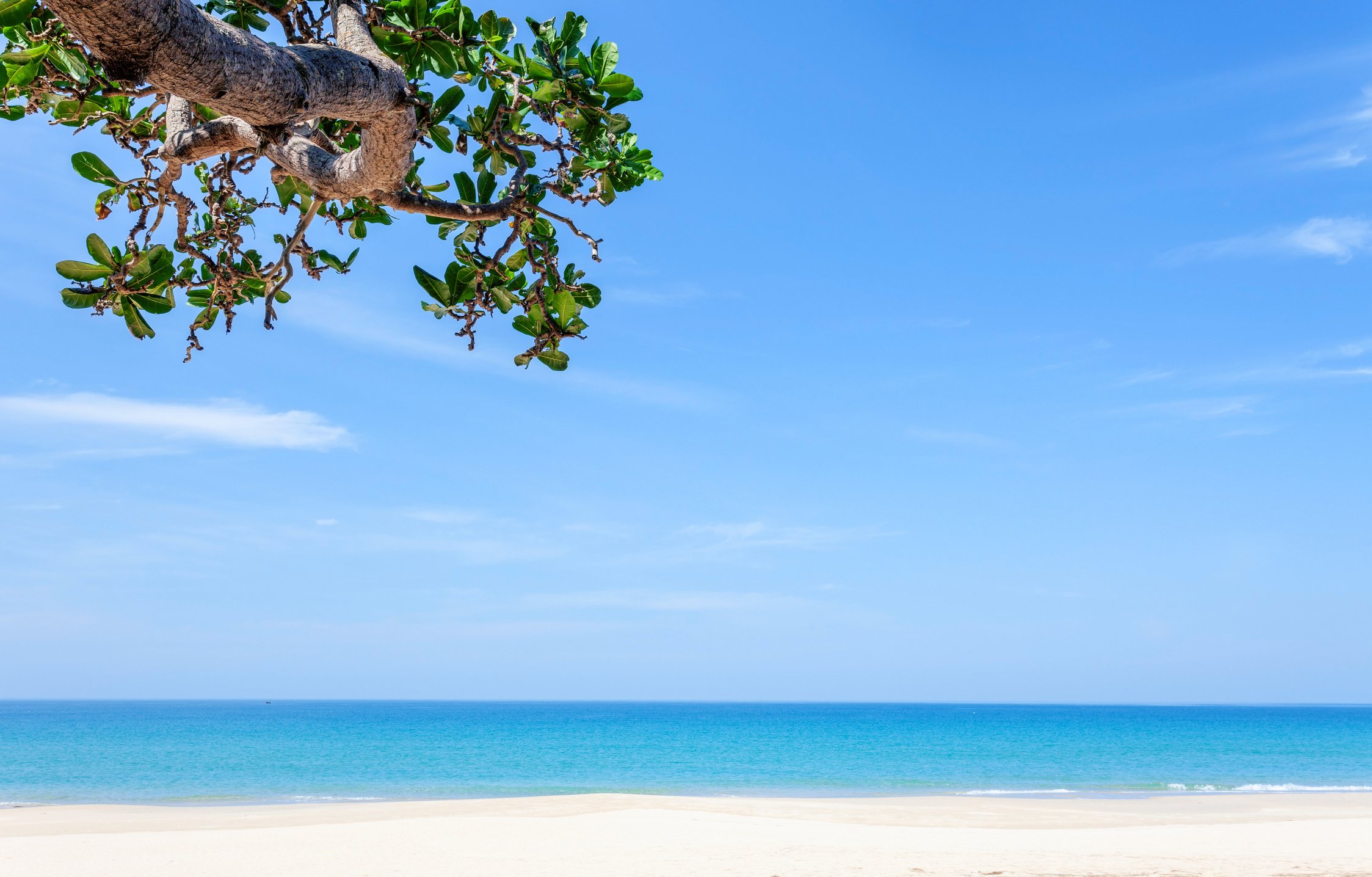 Sandy Beach and Blue Sea